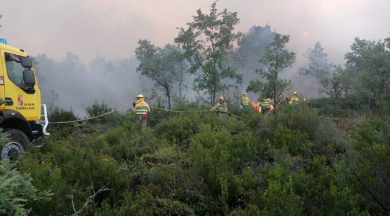 El incendio forestal de Salas de la Ribera, en León, se da por controlado y baja a Nivel 0