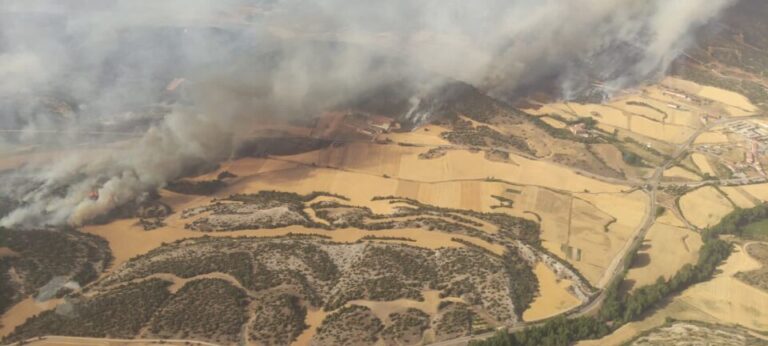 La Junta señala que los tres incendios producidos en Ávila, Burgos y Zamora podrían ser provocados
