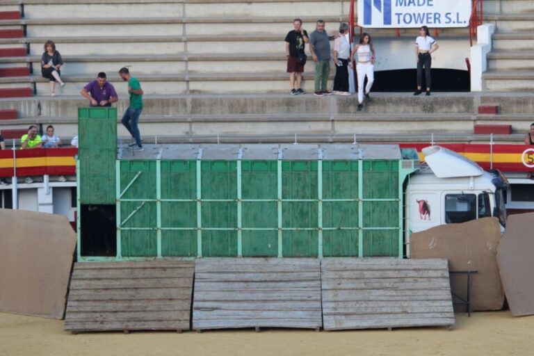 Medina del Campo ya conoce los toros que protagonizarán los encierros tradicionales de San Antolín