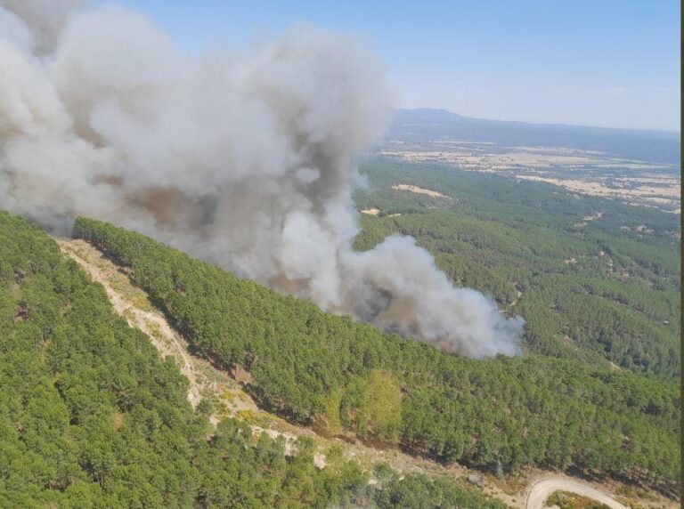 El incendio de Santa Cruz del Valle (Ávila) declarado de nivel 1 por afección de más de 30 hectáreas arboladas