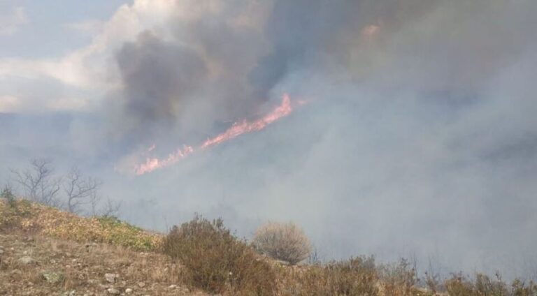 La Junta ha declarado el nivel 1 de gravedad el incendio de Pineda de la Sierra, Burgos