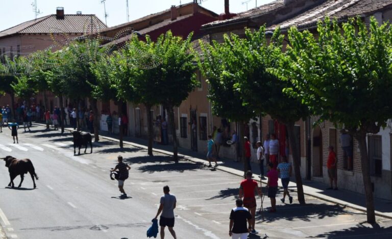 Rueda busca artistas para crear el cartel de las Fiestas de la Asunción