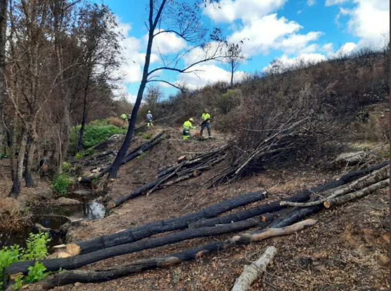La CHD inicia actuaciones medioambientales en cinco cauces afectados por el incendio de la sierra de La Culebra