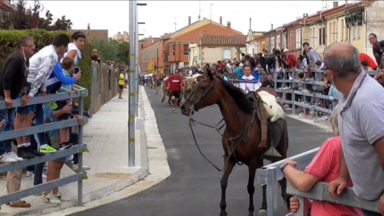 La entrada de un caballo al recorrido urbano sorprende a la población en el tercer encierro tradicional de San Antolín