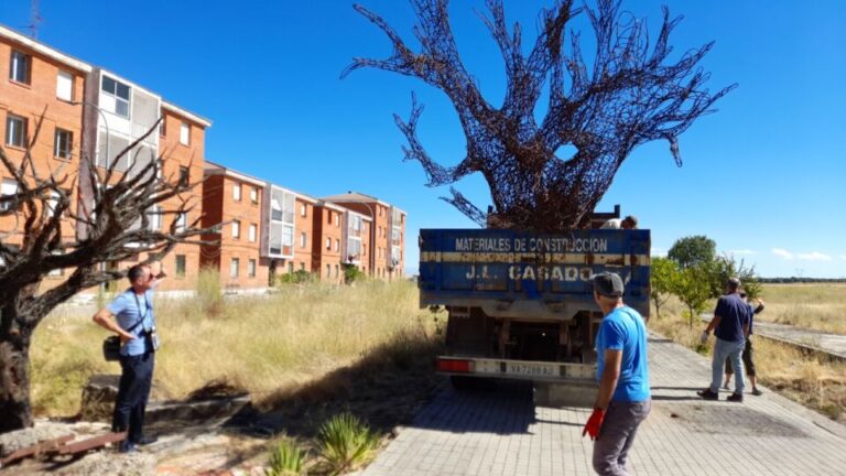 Una senda para narrar la segunda vida de los olmos