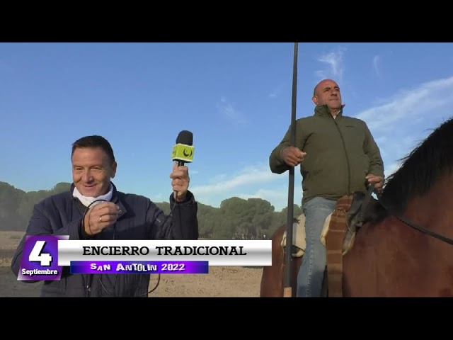Segundo encierro tradicional de Medina del Campo- San Antolín 2022