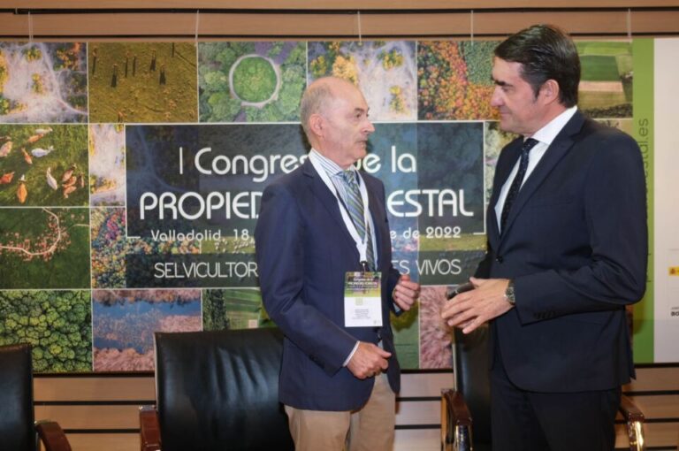 La Junta apuesta por invertir el minifundismo y por las ayudas a las explotaciones forestales para aumentar la rentabilidad de los montes privados