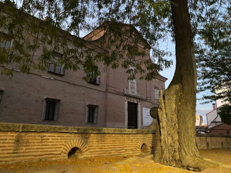 Medina del Campo acoge el XVII Ciclo de Conciertos Didácticos de Órganos