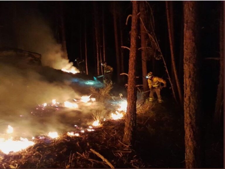 Castilla y León concluye el riesgo medio de incendios forestales y se enfoca en la prevención