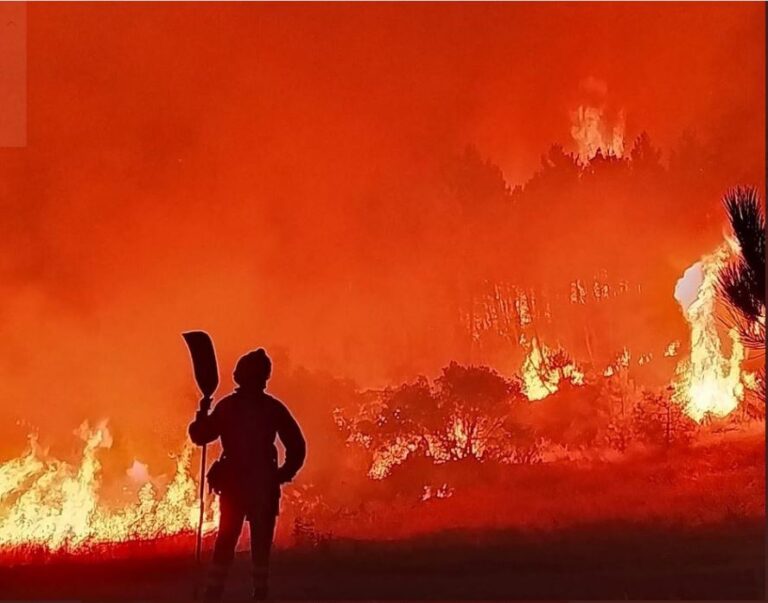 Fuego 2 en Castilla y León