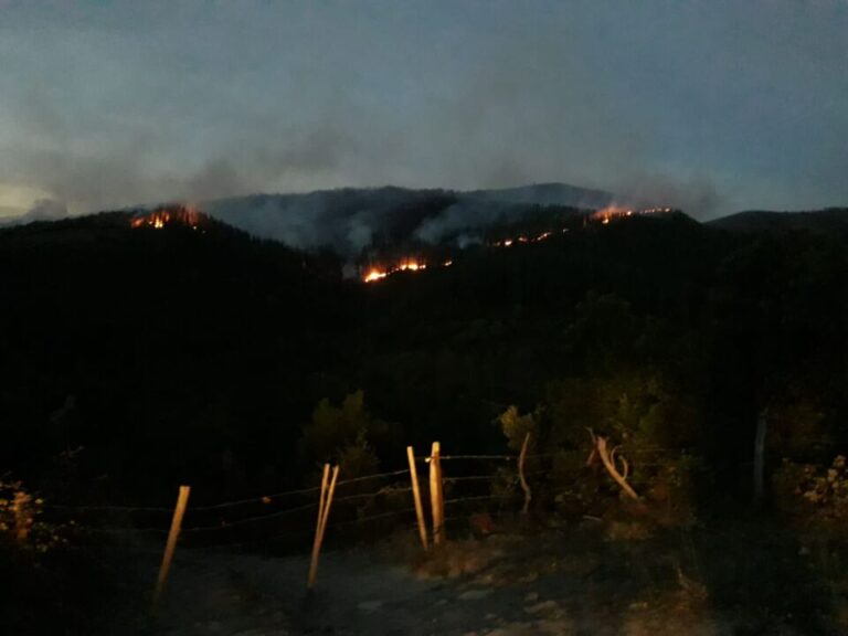 Desalojada la localidad burgalesa de Bortedo por el incendio de Balmaseda (País Vasco)