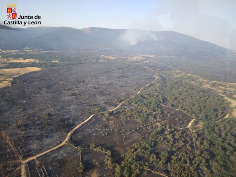 La Junta publica la segunda saca de la madera quemada tras los incendios forestales en la provincia de Zamora