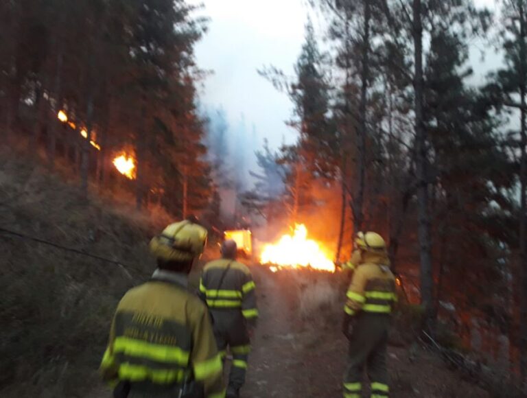 Más de 200 profesionales trabajan en las labores de extinción del incendio del Valle del Mena