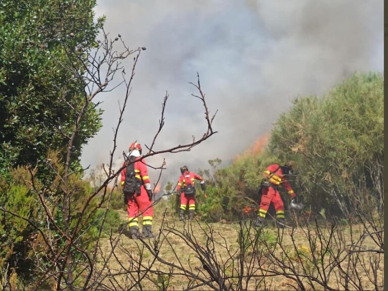 La Junta activa el nivel 2 de alerta por un grave incendio en Navaluenga: el fuego avanza con fuerza en la zona de La Chinita