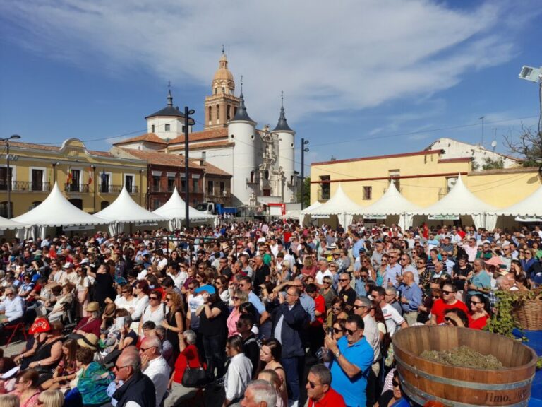 Presentado el programa de la XXXIV Fiesta de la Vendimia D.O. Rueda