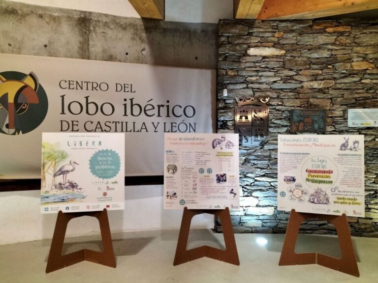 La exposición ‘Basuraleza: no es tu basura, sí es tu problema’ continúa su itinerancia por las Casas del Parque de Castilla y León