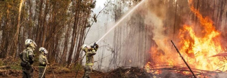 Castilla y León seguirá en «peligro medio de incendios»