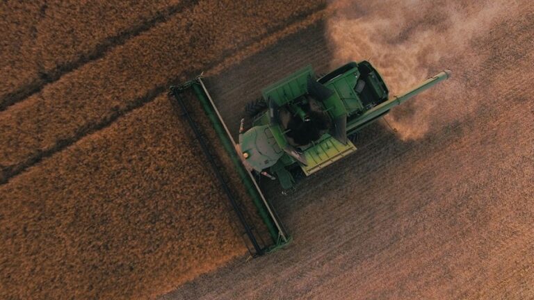 Consejería de Agricultura destina 900.000 euros a impulsar desarrollo rural en Castilla y León: 13 proyectos financiados