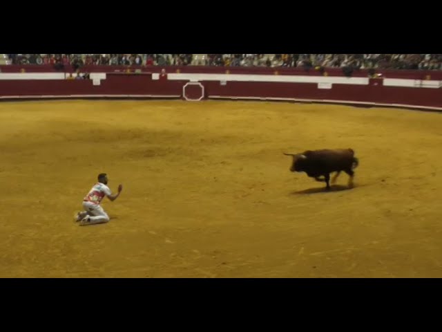 Cogida al cortador de toros Arturo Tapia en la Semifinal del Campeonato de Castilla y León