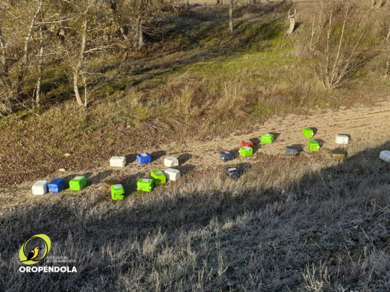 La Asociación Oropéndola de Nava del Rey localiza cincuenta garrafas de productos tóxicos en el cauce del río Trabancos