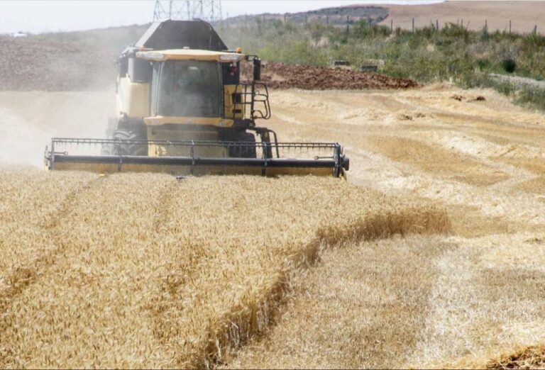 Agricultura siega en Castilla y León