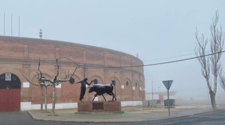 Tercer día consecutivo de nieblas en Medina del Campo
