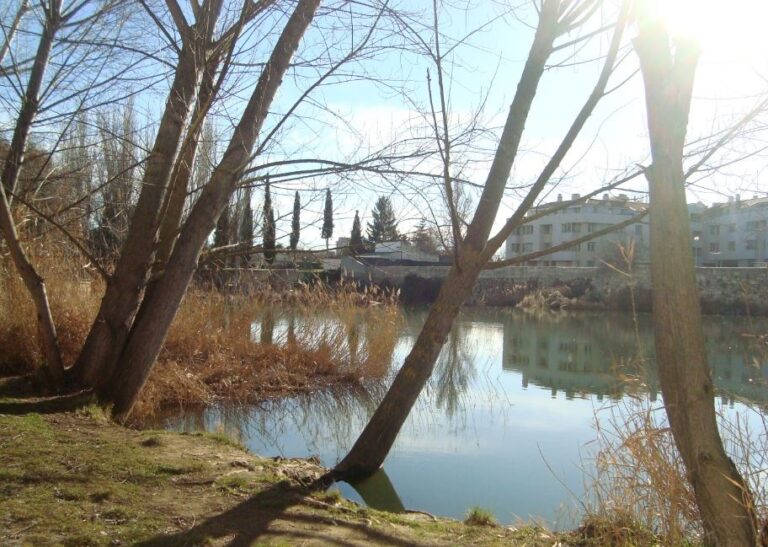 Imagen: Ayuntamiento Palencia en Medina del Campo