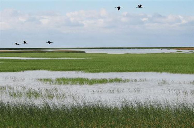 Castilla y León invertirá más de 10 millones en restaurar 57 humedales de alto valor ecológico hasta 2036