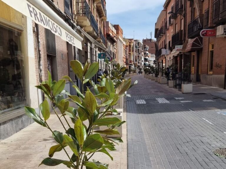 El Consistorio repone los árboles de la calle Simón Ruiz e invita a la ciudadanía a alertar a la Policía ante actos vandálicos