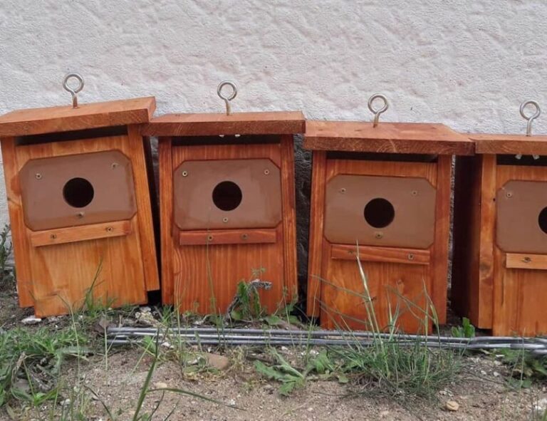La Asociación El Alcornocal colocará quince cajas nido y llevará a cabo una jornada de recogida de residuos en el Pinar de Foncastín