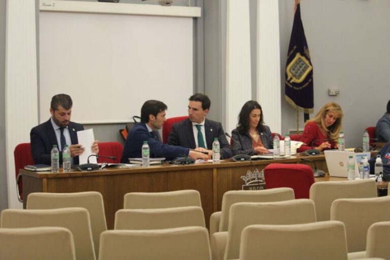 El pleno del mes de marzo aprueba tres declaraciones institucionales en Medina del Campo