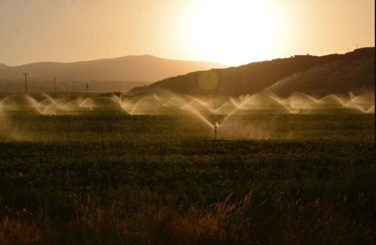 Unión de Uniones denuncia la insuficiencia de ayudas por sequía y el olvido de sectores vitales en la agricultura