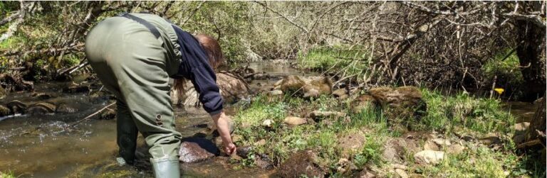 La CHD comienza su campaña anual de muestreos biológicos en 326 puntos de ríos para evaluar el estado de las masas de agua