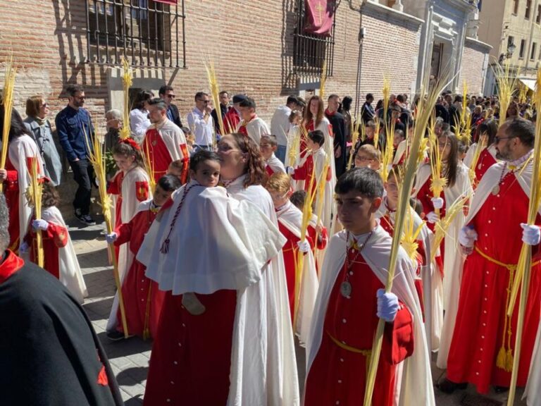 La procesión de la Borriquilla en Medina del Campo, en imágenes