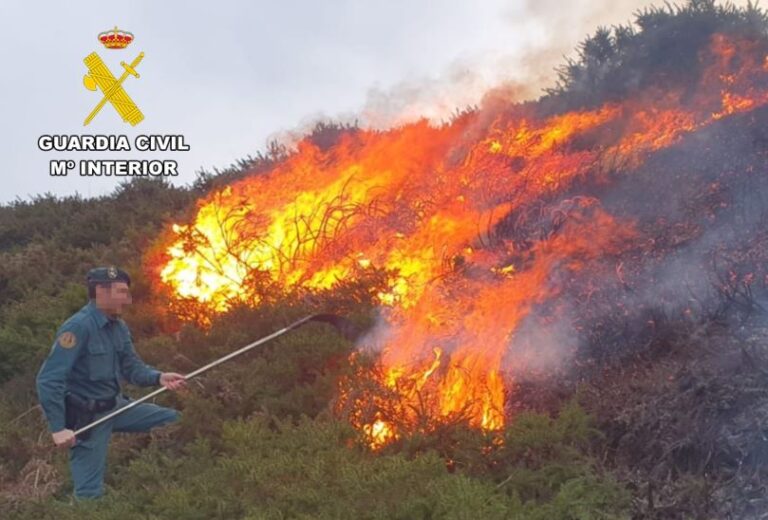 Investiga a una persona como responsable del incendio forestal de Bezana