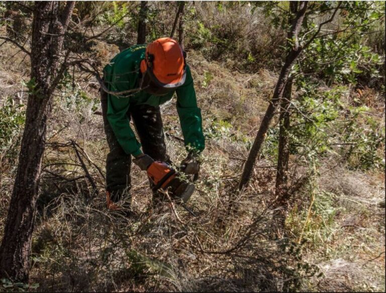 Castilla y León destina 17 millones para prevenir incendios forestales