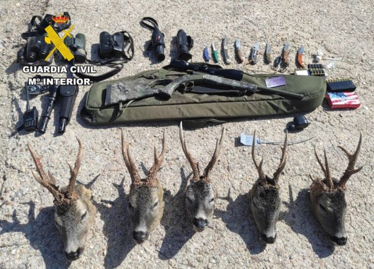 La Guardia Civil interviene cinco cabezas de corzo por prácticas furtivas