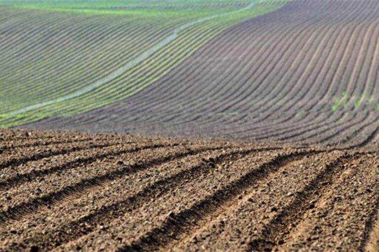 La Junta destinará al sector agrario 145 millones de euros en ayudas extraordinarias por los efectos de la sequía que se sumarán a los 600 millones de anticipos de la PAC