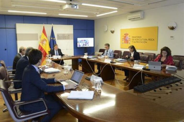 La Conferencia Sectorial de Agricultura reparte en Castilla y León 5,5 millones para financiar la reestructuración y reconversión de viñedo