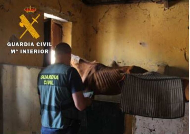 La Guardia Civil investiga a una persona por un delito contra los animales