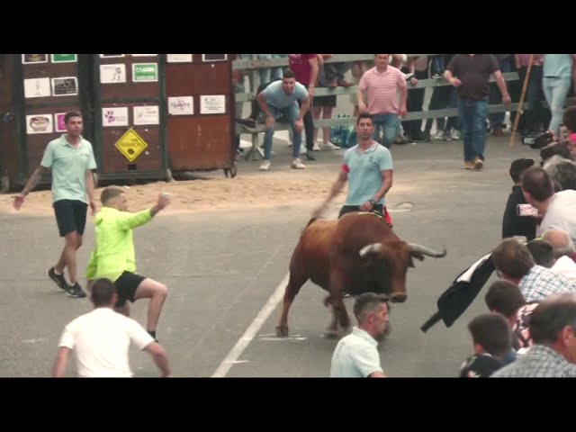 Vídeo de la cogida del toro de Cebada Gago en Medina del Campo