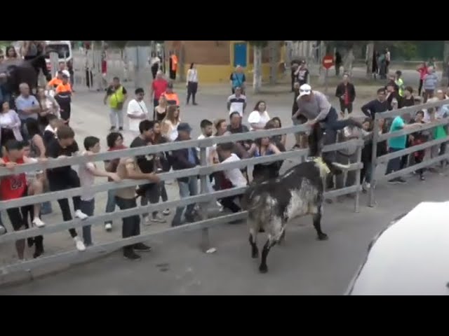 Momentos de Tensión en los Toros de la Feria 2023