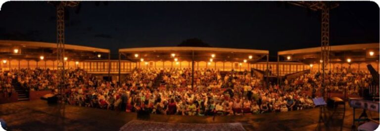 El XVII Festival de Teatro Olmedo Clásico acercará catorce espectáculos a la Villa del Caballero