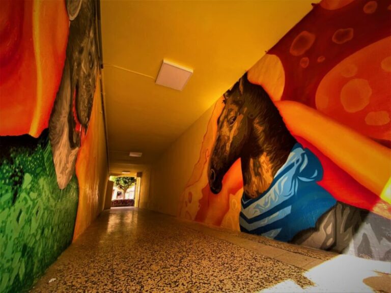 Un arte que envuelve al viandante al atravesar las calles de Medina del Campo 