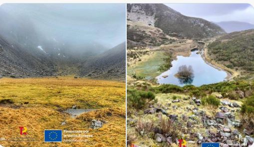 La Junta impulsará medidas de conservación para proteger especies de flora amenazada en León y Palencia