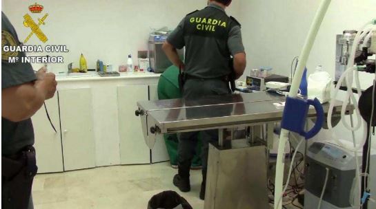 Investigación de Intrusismo Profesional en Medina de Rioseco: 4 personas sin titulación ejercían como veterinarios