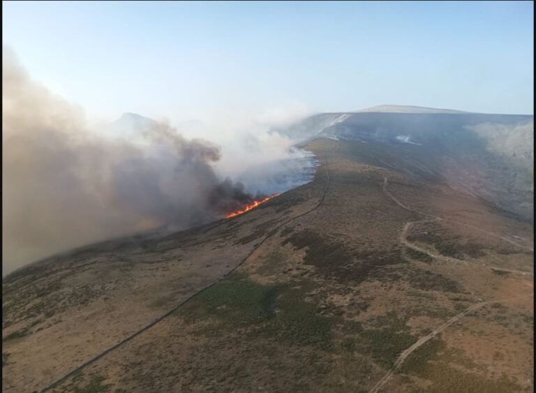 Declarado de nivel 1 el incendio forestal de Aliseda de Tormes (Ávila)