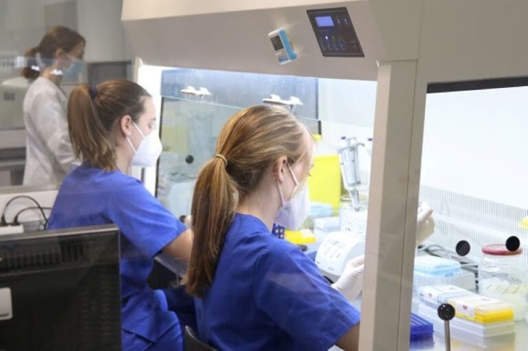 España atrae en verano a más de 15.000 personas extranjeras para realizar tratamientos de fertilidad