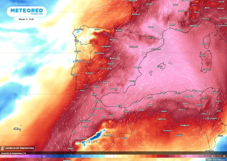 Ola de calor esta semana en España: ¿qué regiones están en riesgo extremo por temperaturas de casi 45 ºC?