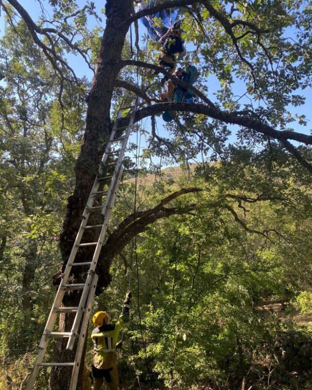 Rescatan a piloto de parapente suspendido de un árbol en paraje cercano a Casas del Puerto, Ávila
